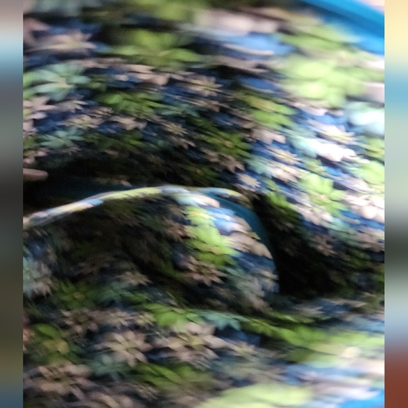 VERA BRADLEY: Daisy 🌻 CROSSBODY BAG & WALLET Both pieces!💙 MATCHING, RARE SET - Picture 9 of 16